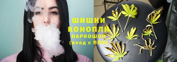 ешки Вяземский