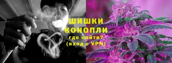ешки Вяземский