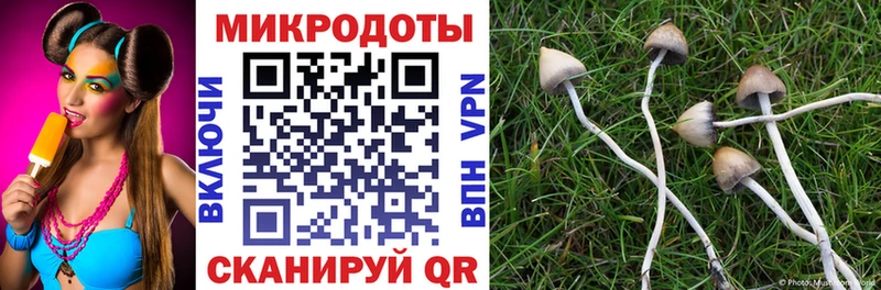 Галлюциногенные грибы прущие грибы  Плёс 